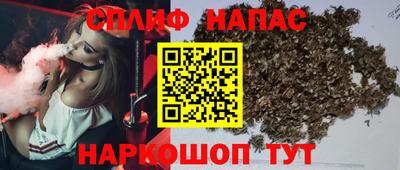 тгк Славгород