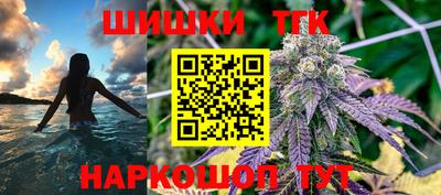 тгк Славгород