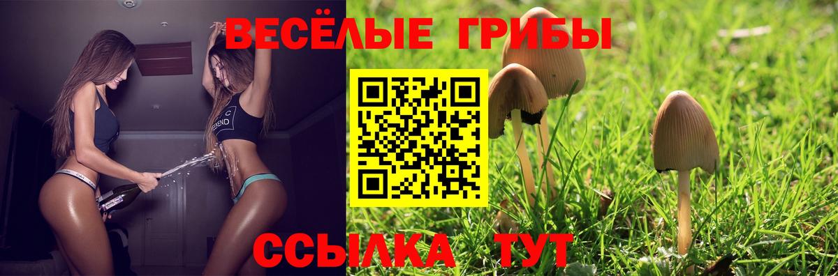 Псилоцибиновые грибы Cubensis Кинель
